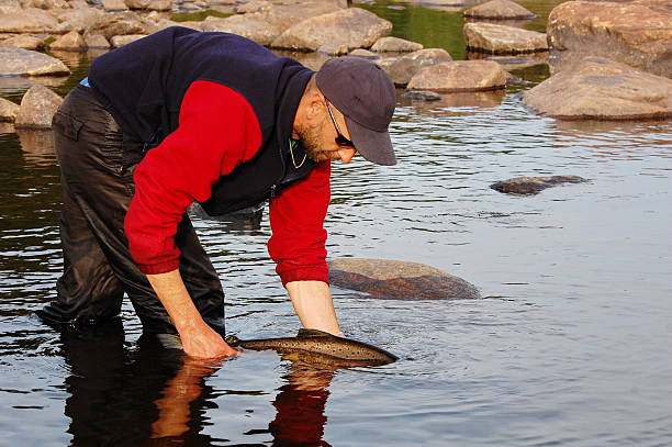 рыбак версии лосося на реку. - catch of fish water river salmon стоковые фото и изображения