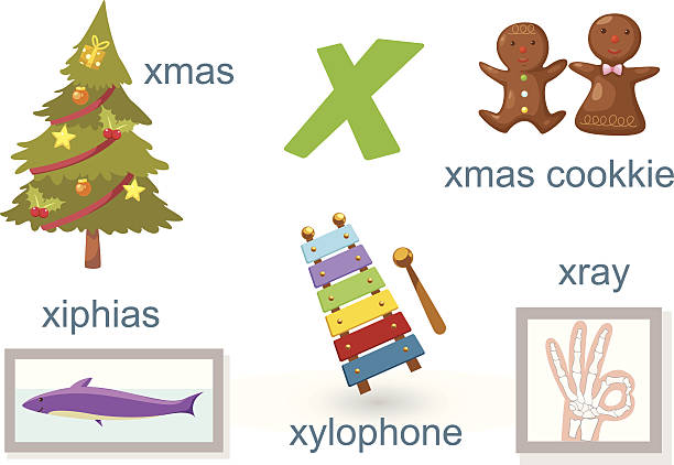 Alphabet X Letter Xray Xmas Xmas Cookkie Xylophone Xiphias Stock