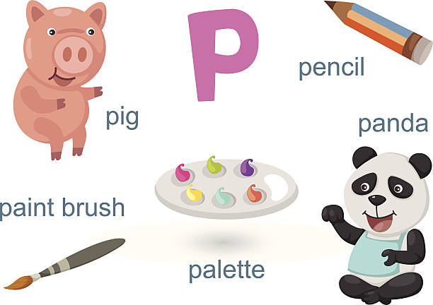 Alphabetp Letterpig Panda Paintbrush Pencil Palette Stock