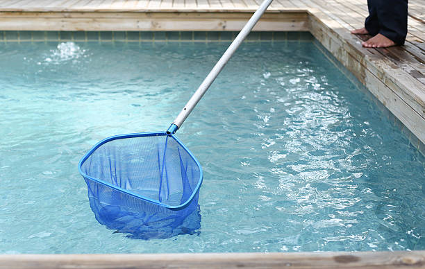istock Cleaning and maintenance swimming pool with net skimmer 476910608