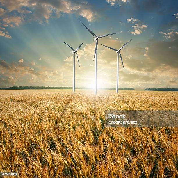 Wind Generator Turbines On Wheat Field Against Sunset Stock Photo - Download Image Now