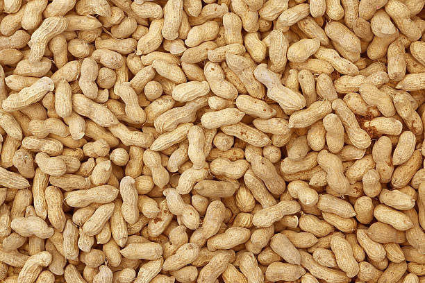 groundnut hintergrund - peanut legume textured effect fat stock-fotos und bilder