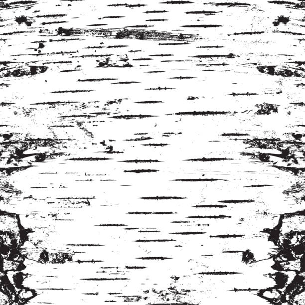 Birch Pattern Birch Pattern