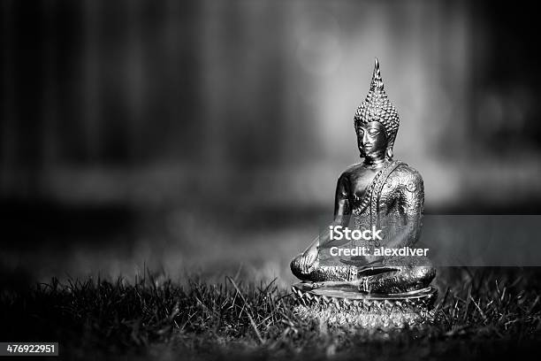 Buddha Stock Photo - Download Image Now - Anticipation, Buddha, Buddhism -  iStock