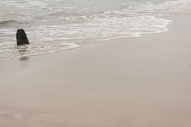 istock Sandy beach near Ustronie Morskie - Poland. 476923151