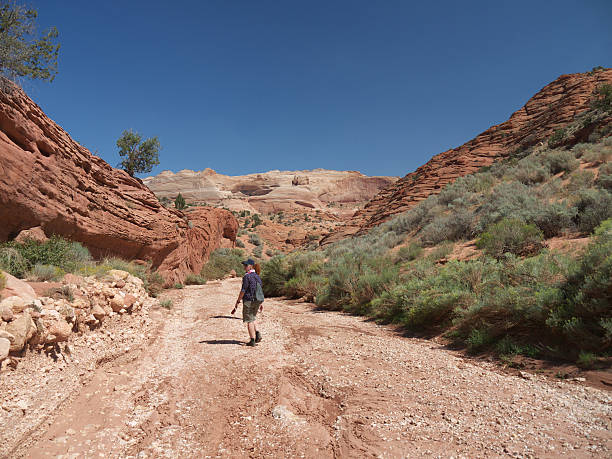 istock Hiking in the canyon 476925332