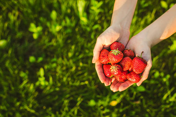 istock palms full of strawberries 476925778
