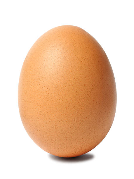 istock Egg of Columbus 476926373