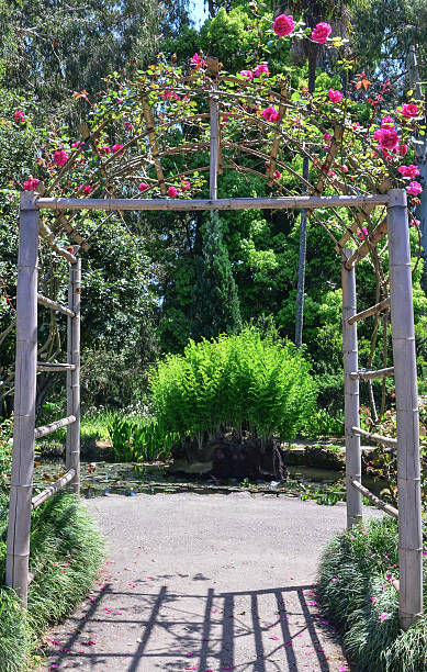istock Flowers in the garden 476928128