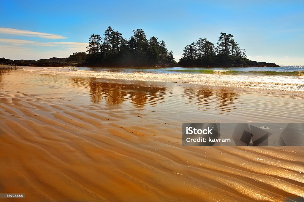 The beach of island Vancouver in Canada Ocean beach on island during outflowOcean outflow on an enormous beach of island Vancouver in Canada 2015 Stock Photo