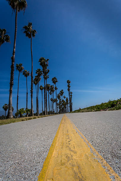 istock Santa Monica Beach Bike Path and Palm Trees 476928702