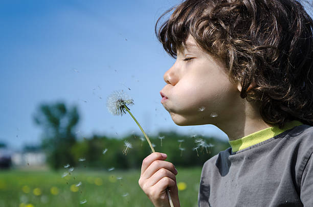 istock Little boy blowing dandelion seeds 476929150