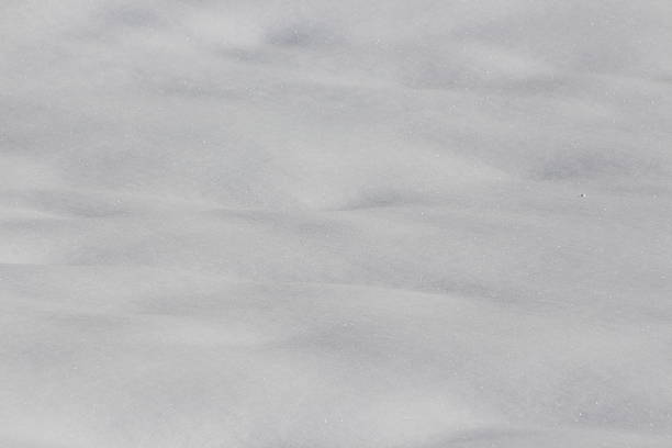 Shadow on the snow