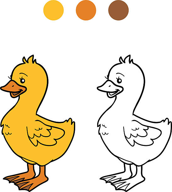 ilustrações, clipart, desenhos animados e ícones de livro de colorir (ganso, chick - bird yellow child chicken