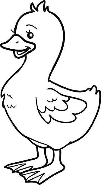 illustrazioni stock, clip art, cartoni animati e icone di tendenza di libro da colorare (, chick - bird yellow child chicken