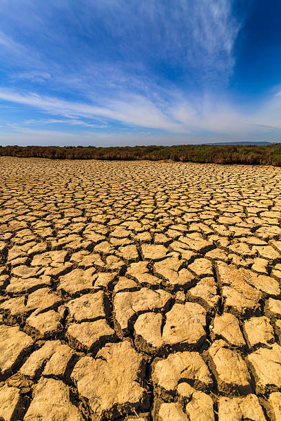 istock Dry cracked earth under the blue sky. Drought. 476942512