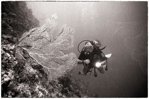 Scuba Diver at Indian Ocean Coral Reef