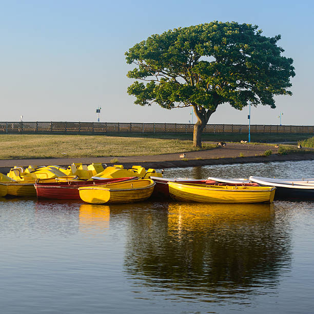 Skegness, England - June 8, 2015: Boats tied together, early in the morning, on the boating lake in Skegness. In Skegness, Lincolnshire, England.