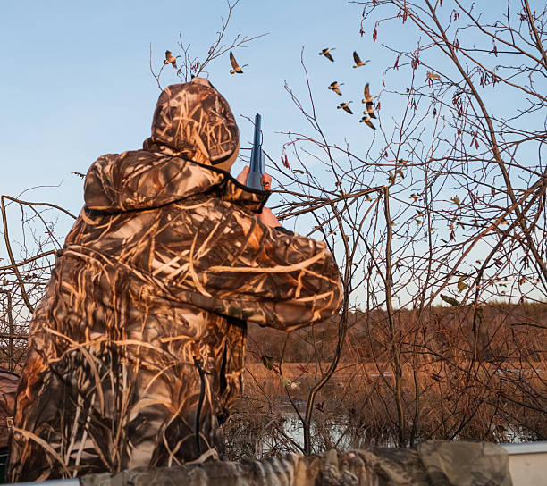 Taking Aim at Canada Geese Glenelg, Canada - November 3, 2011: A hunter in full camouflage takes aim at a flock of Canada Geese from a hunting blind on the St. Mary's River. water bird stock pictures, royalty-free photos & images