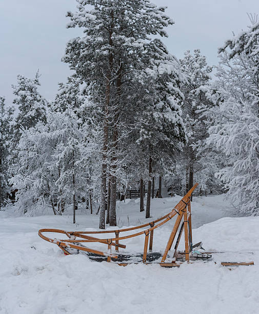 istock Lapland (Finland). A dog sled 476950264
