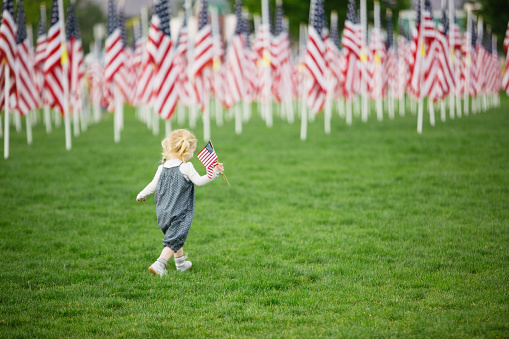 2 year old blonde toddler holding American flags is walking in front of a a field of American flags