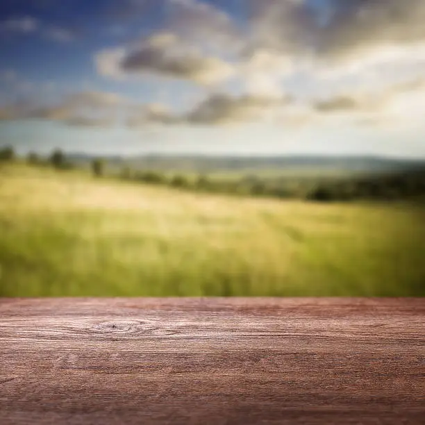 Photo of Summer background. Wooden floor texture and defocused summer landscape.