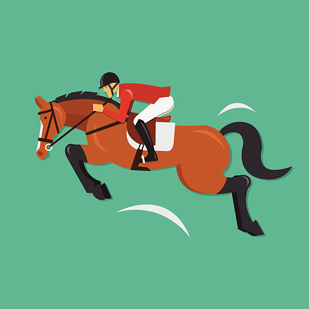 ilustraciones, imágenes clip art, dibujos animados e iconos de stock de mostrar saltos de caballo de equitación con jockey, deportes - green background color image people animal