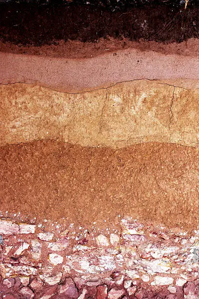 Photo of Layer of soil underground background