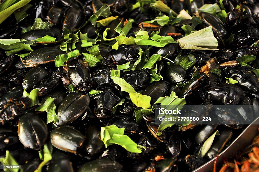Special food,Fried black insect ,Thailand Asia Stock Photo
