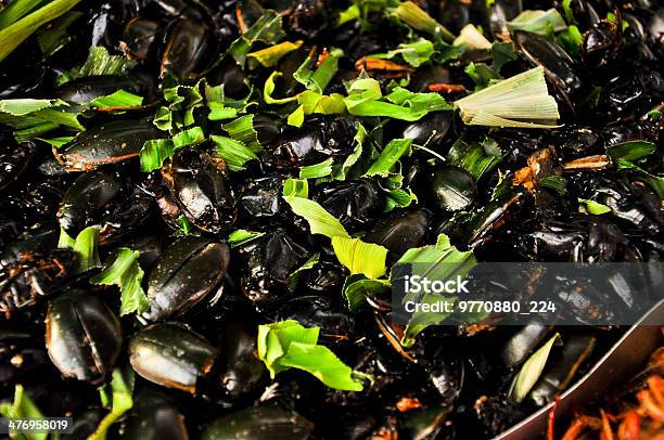 Special Foodfried Black Insect Thailand Stock Photo - Download Image Now - Asia, Asian Culture, Asian and Indian Ethnicities