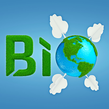 Stylized interpretation of the logo Bio Planet, with Earth thumbnail instead of letter O, which is decorated with cartoonish grass and trees