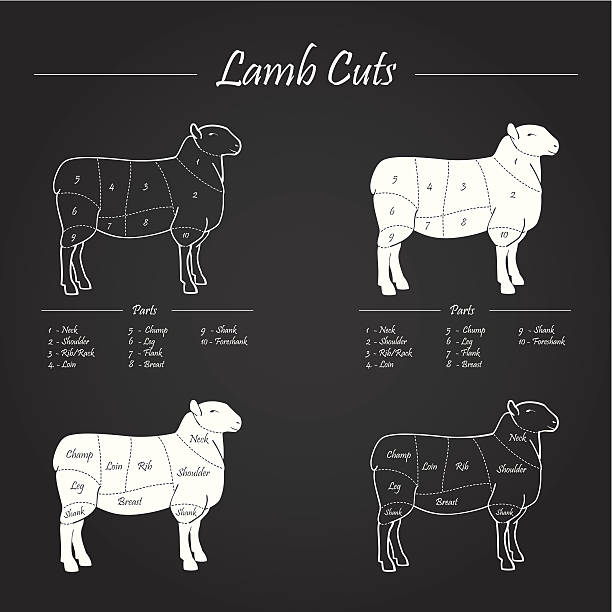 ilustrações de stock, clip art, desenhos animados e ícones de esquema de cortes de carne de carneiro - shrank