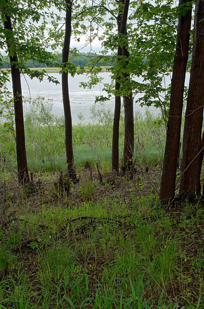 istock Gun Club Lake and Woods 476958838