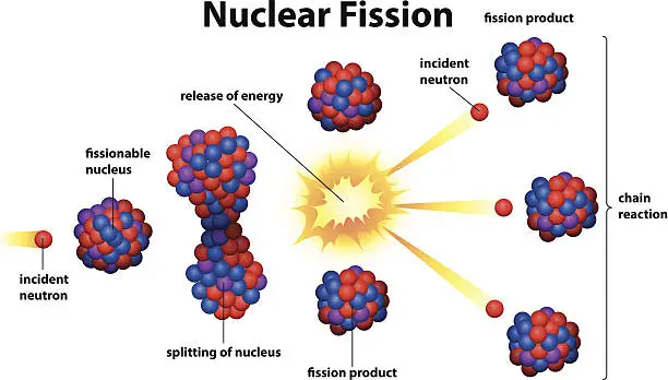 Vector illustration of Nuclear fission
