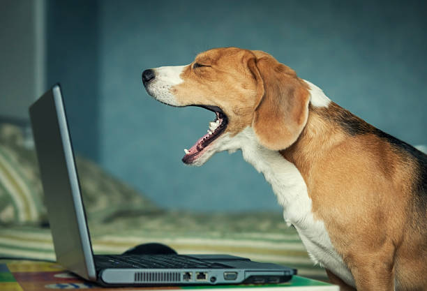 istock Lets finish our chatting , darling , I want to sleep 476962913