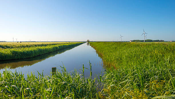 istock Canal through the countryside at dawn in spring 476963420