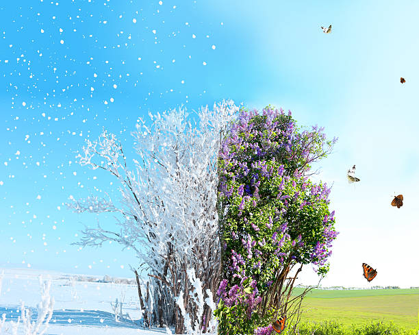 istock Season change from winter to spring 476964702