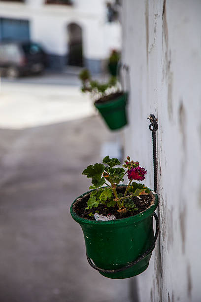 istock flowerpots from Andalusia streets 476965533