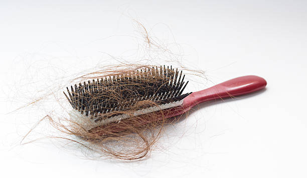 queda de cabelo vermelho sobre um pente isolado em fundo branco - full hair imagens e fotografias de stock