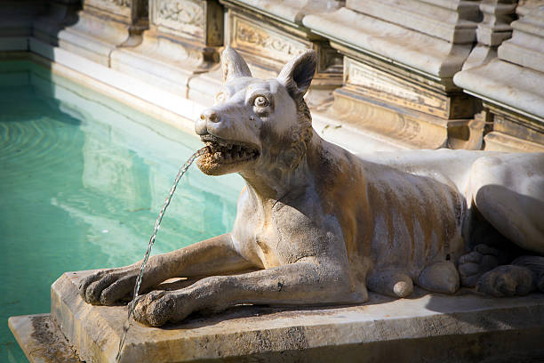 istock Fountain at Piazza del Campo in Siena 476969212