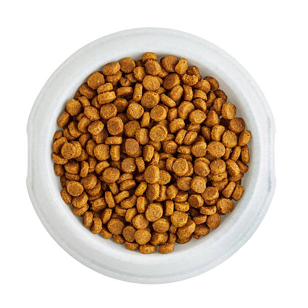 istock Dry pet food in a white bowl 476970402