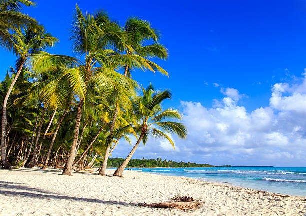 istock Caribbean beach in Dominican Republic 476970736