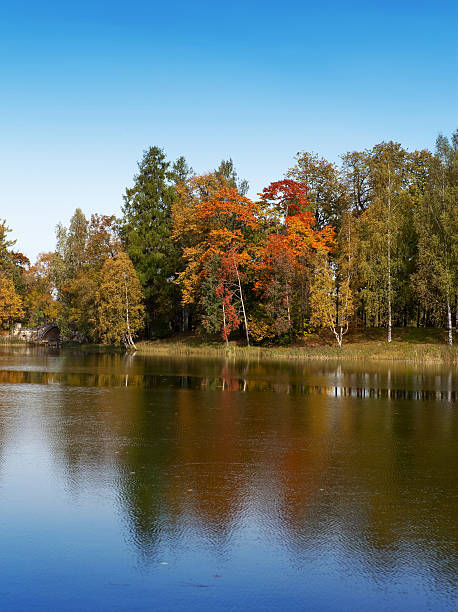 istock The bright autumn wood is reflected in  lake 476972730