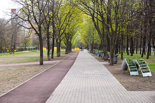 istock Walk on the street 476975126