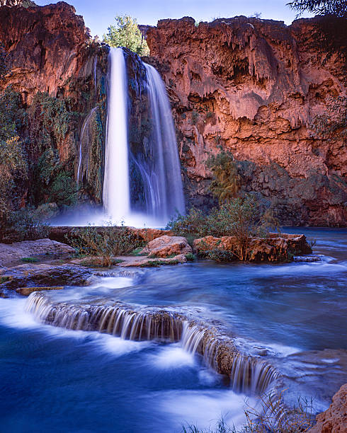 Havasu Falls The base of Havasu falls in Arizona havasu falls stock pictures, royalty-free photos & images