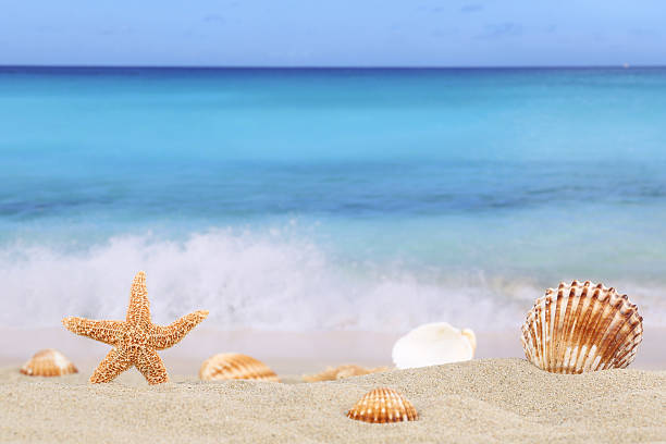 istock Beach background scene in summer on vacation with sea, copyspace 476976150