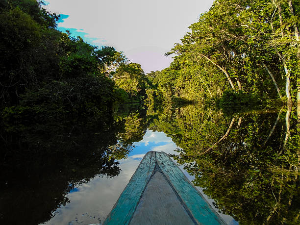 fleuve amazone - rainforest amazon rainforest tropical rainforest brazil photos et images de collection