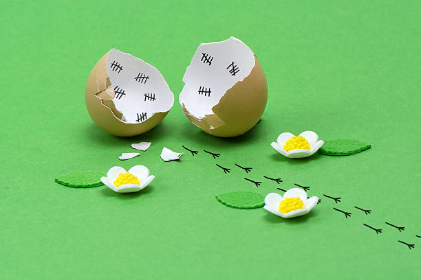 impronta di chick esca dall'uovo rotto vuoto esterno. - funny eggs foto e immagini stock
