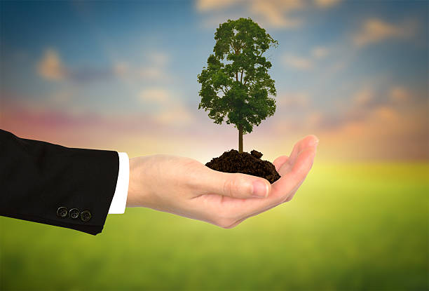 istock Plant in Business hand 476982275