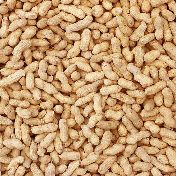 groundnut hintergrund - peanut legume textured effect fat stock-fotos und bilder